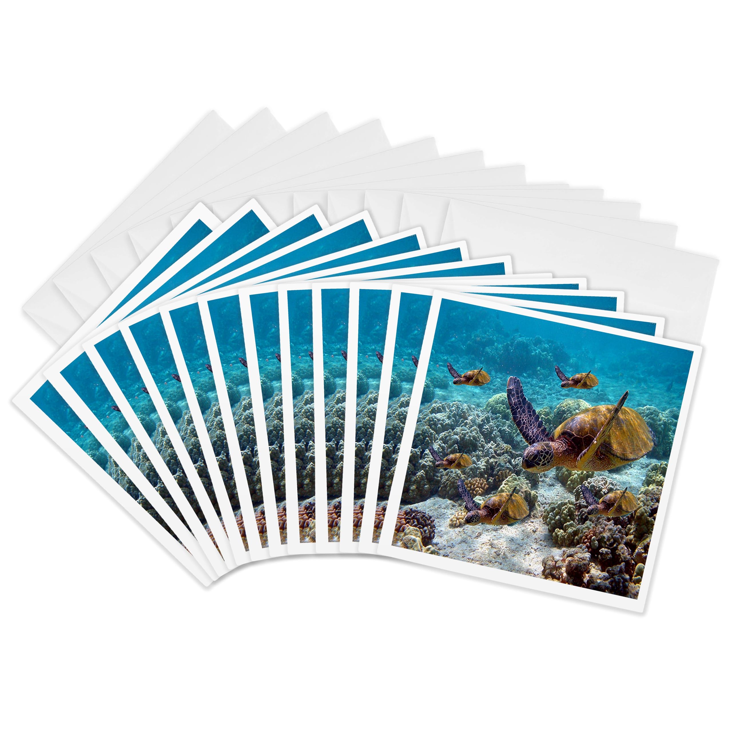 3dRose gc_26850_2 6 x 6-Inch "Sea Turtles" Greeting Card (Pack of 12)