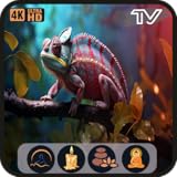 カメレオンセレニティ：爬虫類のビジュアルと自然の雰囲気を楽しめるスクリーンセーバー