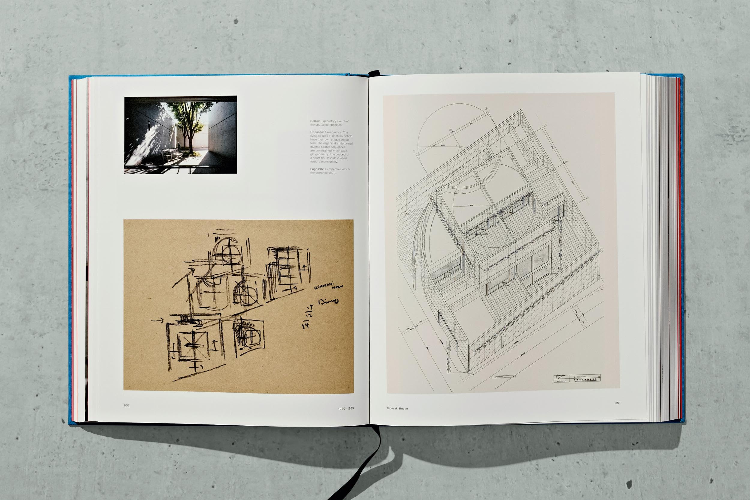 Tadao Ando. Sketches, Drawings, and Architecture (Extra Large)