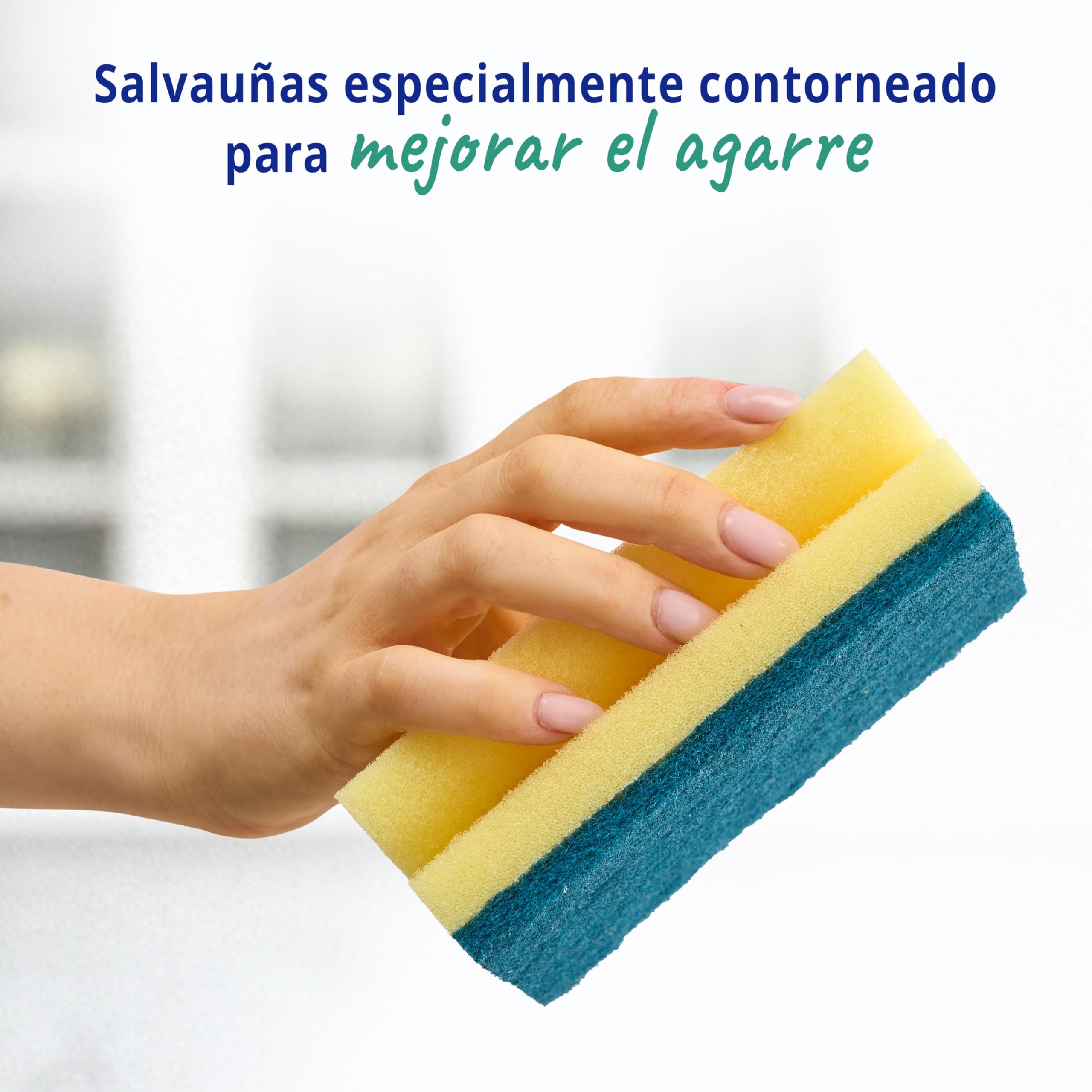 Spontex Specialist Estropajos con esponja XL Paquete de 6