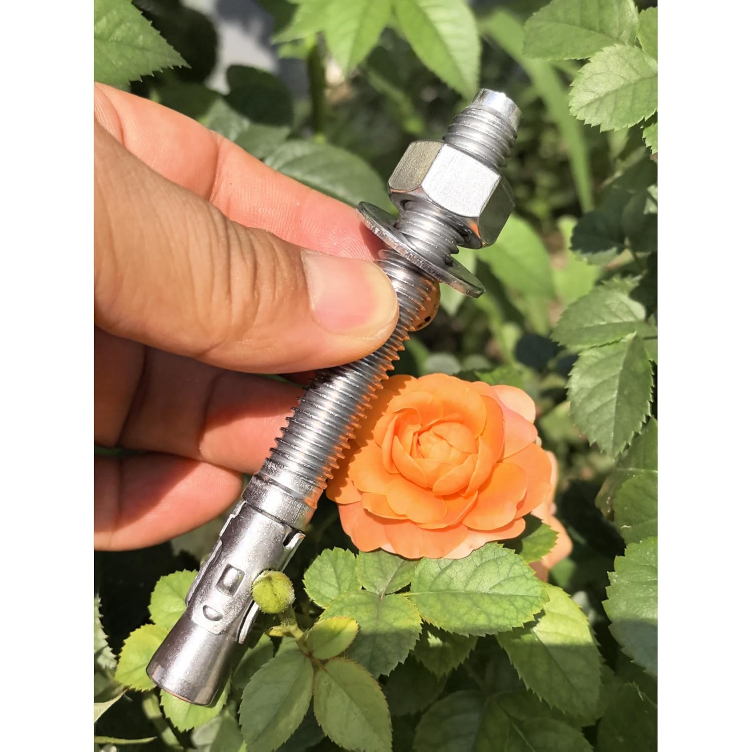 SANTIE (100PC) 1/4" X 3-1/4" 304 Stainless Steel Wedge Anchor with Nut and Washer