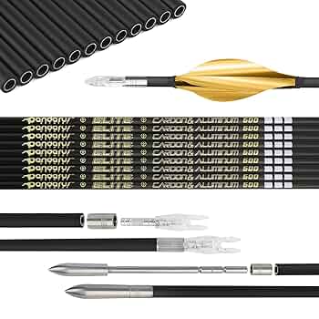 TENPOINT PRO ELITE カーボン矢 ＆ アルミ矢 まとめ売り TENPOINT PRO ELITE カーボン矢 ＆ アルミ矢 まとめ売り