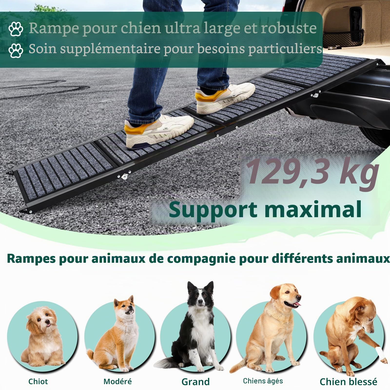 Rampe pour chien de 180 cm de long et 50 cm de large, pliable, avec tapis antidérapant, pliable pour l'extérieur, escalier, voiture, pour chiens de taille moyenne et grande dans un SUV et un camion