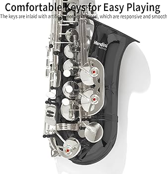 Amazon.com: Mendini By Cecilio Alto Saxophone for Beginners with