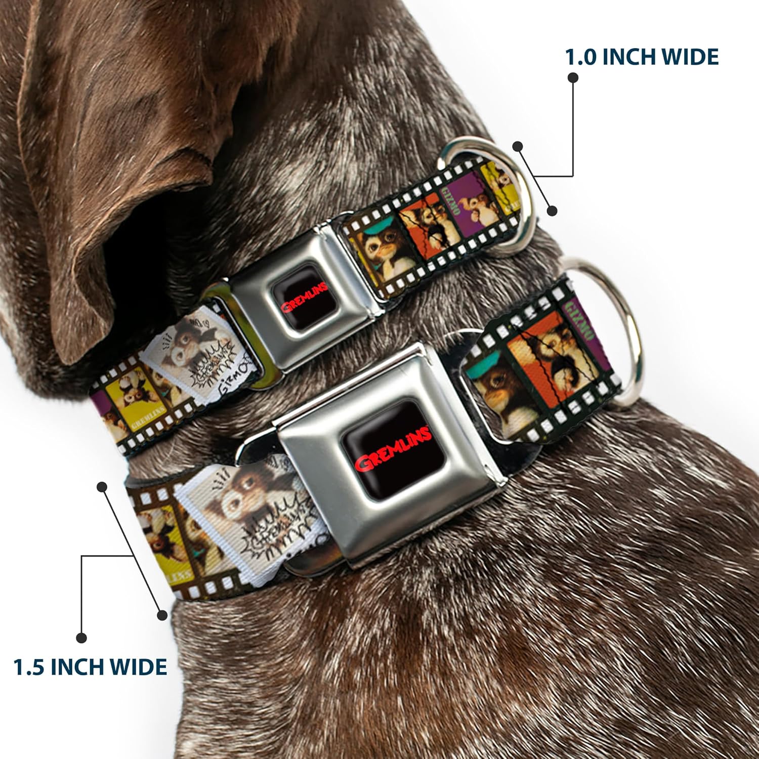 Dog Collar Seatbelt Buckle Gremlins Gizmo Filmstrip Poses Multi Color 16 to 23 Inches 1.5 Inch Wide