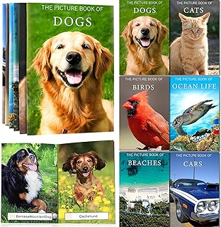 6 Pack Picture Book Set for Seniors with Dementia, Activities for Elderly Seniors, Provide Products for Alzheimer's Patients and Adults, Brain Exercise, Increased Communication