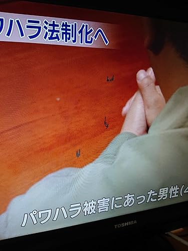 Amazon.co.jp: 東芝 19V型 液晶 テレビ 19A3500 ハイビジョン 2007年