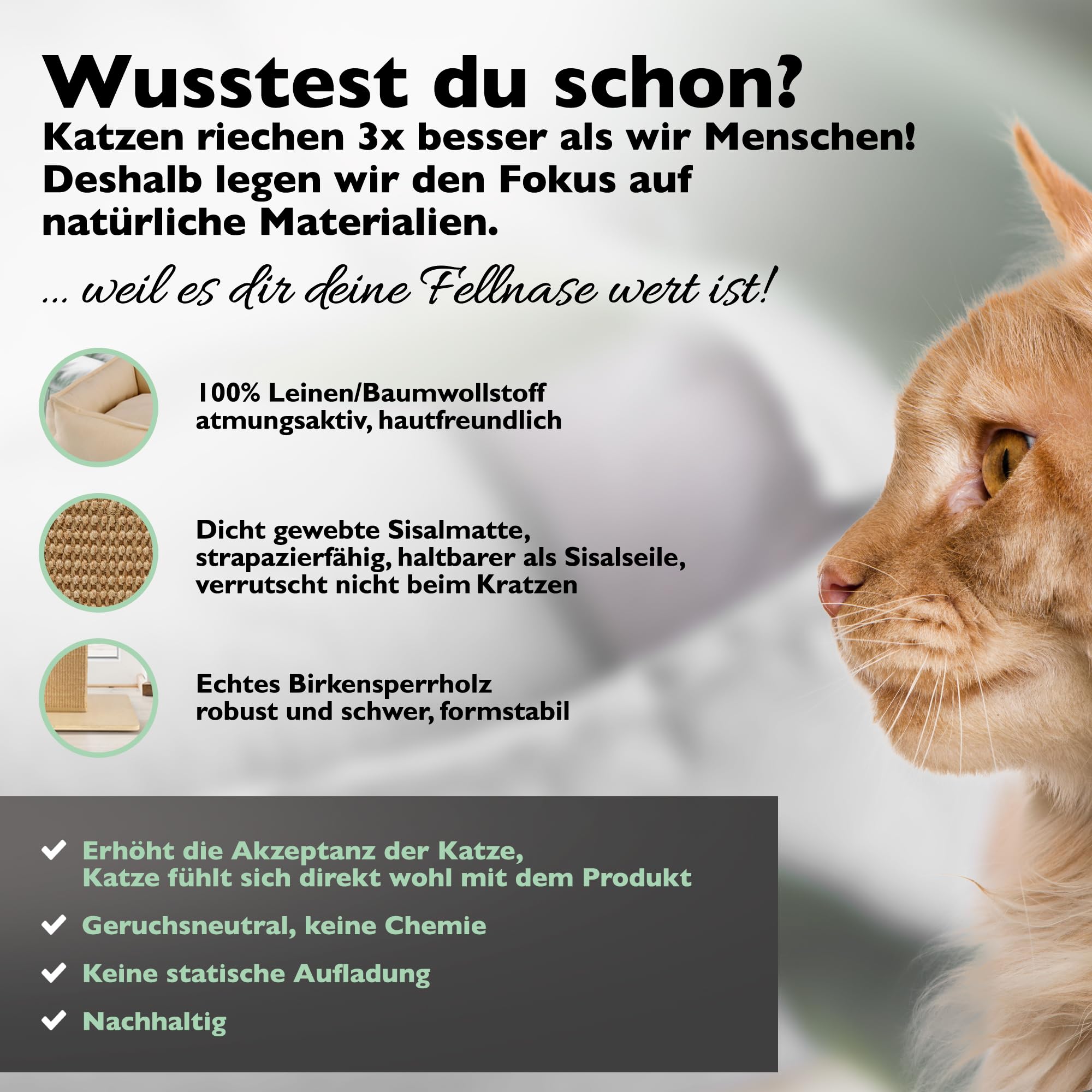 Nemmy Premium Kratzbaum klein aus Holz mit waschbarem XL Katzenbett, Beige | Geruchsneutral. Stabile Anti-Rutsch-Füße. Sisalmatte statt Seile. Für Schlafzimmer & Büro. Ersatzteile erhältlich.