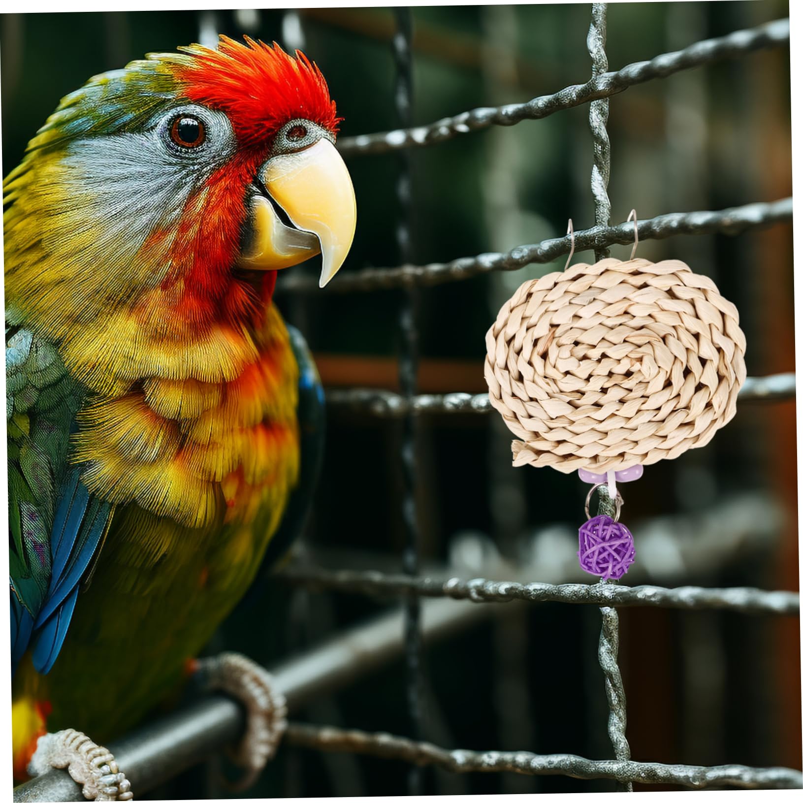 BESPORTBLE 5pièces Jouet à Mâcher Suspendu pour Perroquets Accessoire De Cage pour Oiseaux Jouet De Déchiquetage Et Divertissement pour Oiseaux pour Entraînement Broyage Dents