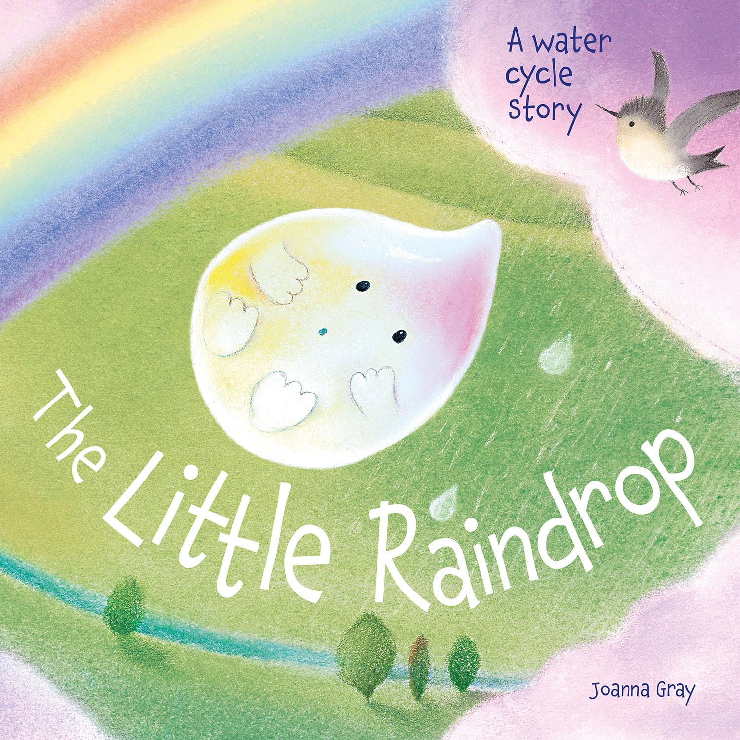 The Little Raindrop - A water cycle story (Picture Storybooks)
