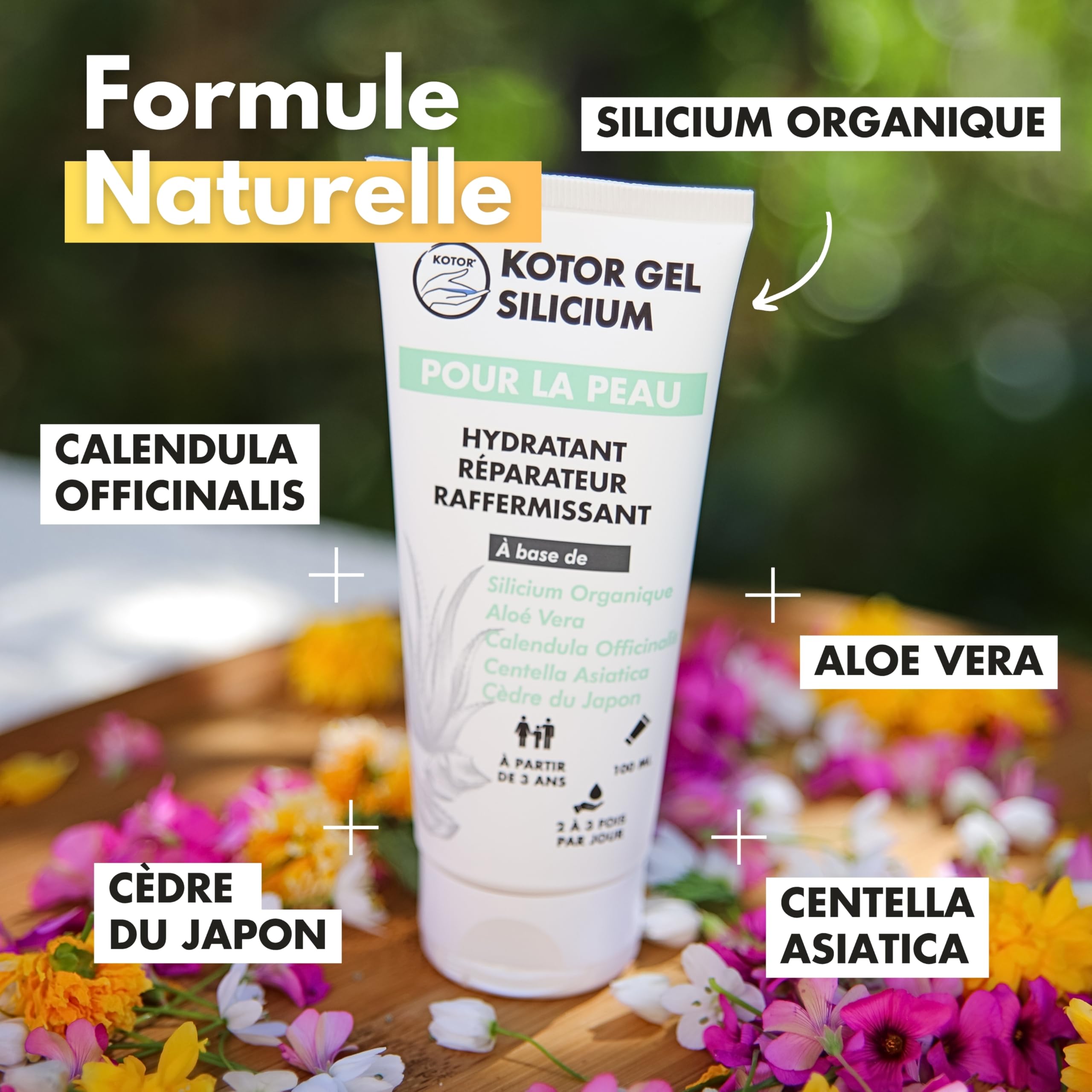 KOTOR GEL SILICIUM | Gel Surconcentré en Silicium Organique | Articulations, Cicatrisation, Rides, Peau + Aloe Vera + Calendula Officinalis + Centella Asiatica | 100ML | France