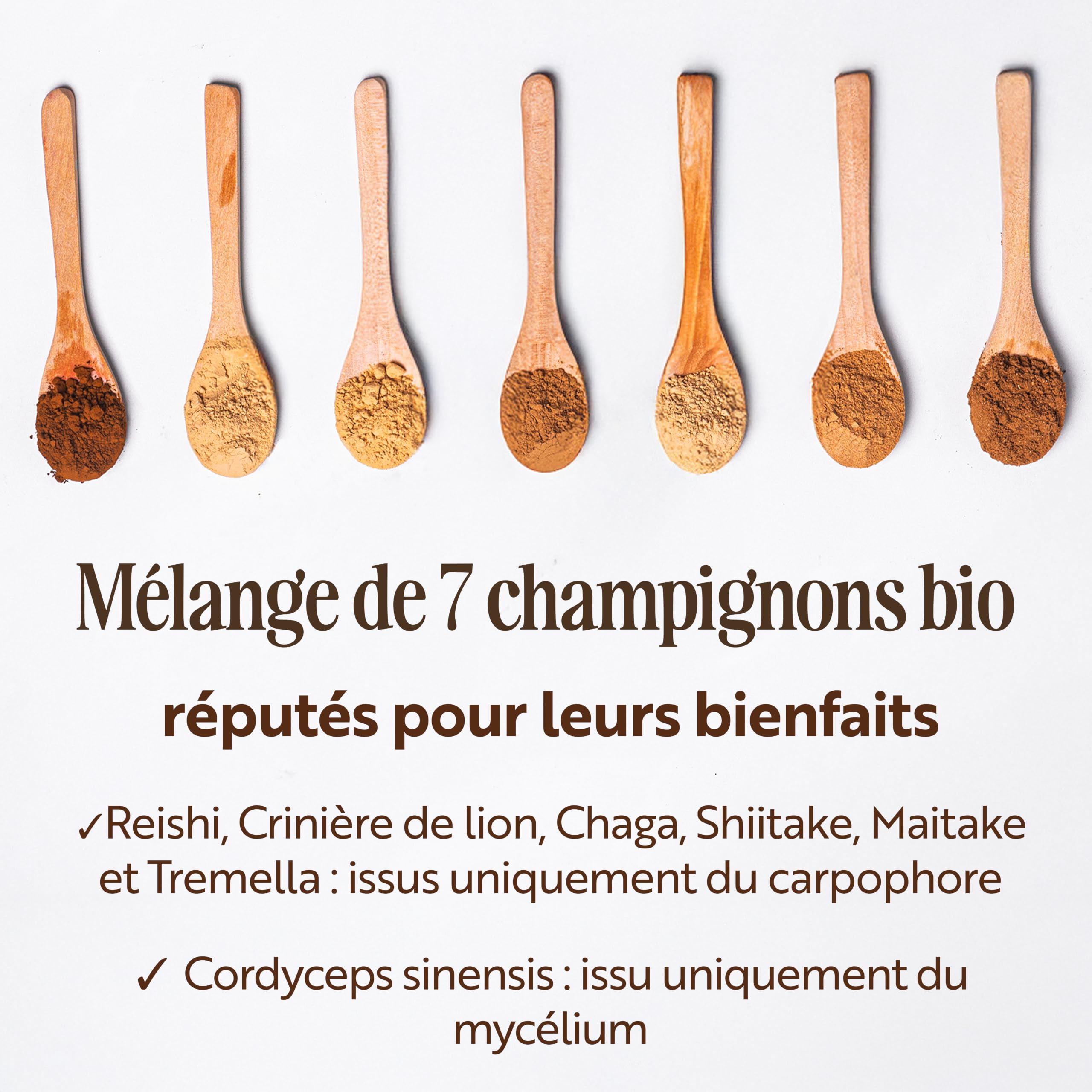 Sevenhills Wholefoods Poudre De 7 Champignons Mélange Bio 500g, Lions Mane (Crinière de Lion Hericium), Reishi, Chaga, Shiitake, Maitaké, Cordyceps, Tremella
