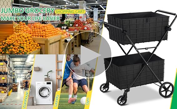 Amazon.com: Spurgehom 2-Tier Shopping Cart for Groceries