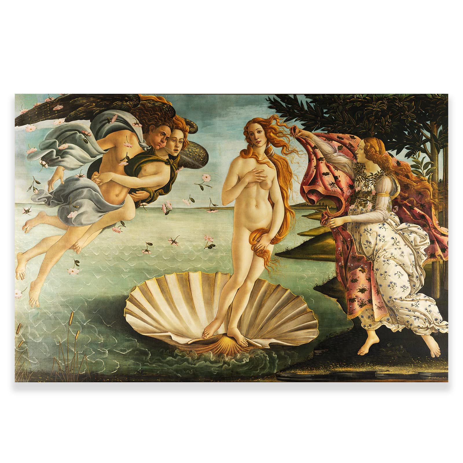KWAY Sandro Botticelli Poster - The Birth of Venus Canvas Wall Art - Historic Oil Painting Fine Art - Traditional Scenic for Living Room Bedroom Home Decor Unframed (12x18in/30x45cm)
