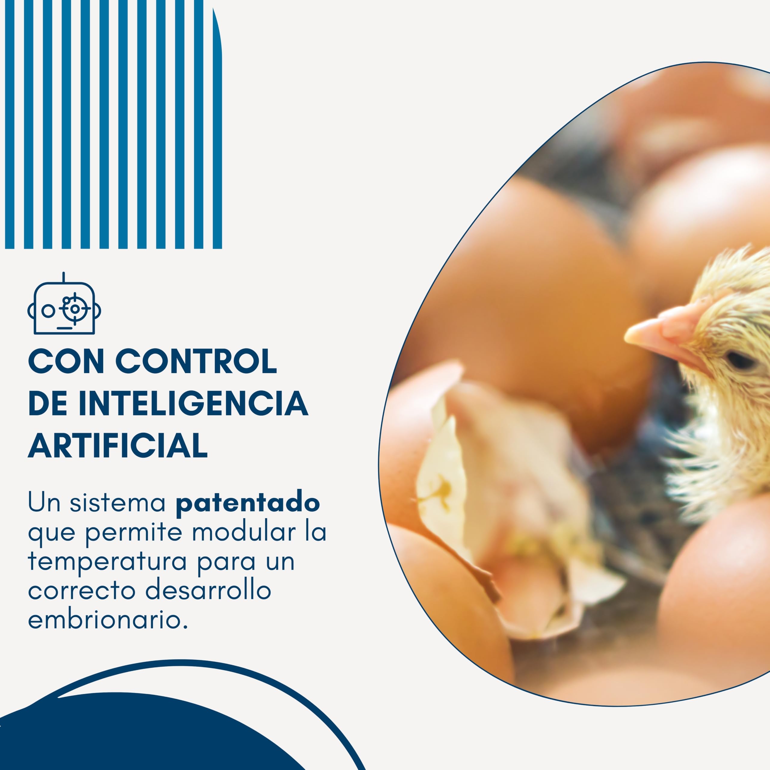 Borotto Real 49 Plus | Incubadora de Huevos Automática Profesional para 49 Huevos o 196 Pequeños con Volteador Huevos Automático, Control Temperatura y Sistema Antibacteriano Biomaster®| Made in Italy