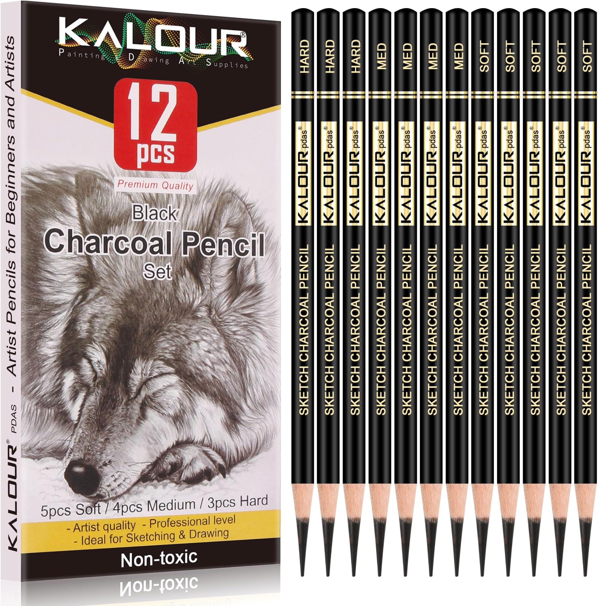 Dyvicl Professional Charcoal Pencils Drawing Set 12 Pieces Soft, Ediu...