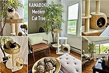 Review Image by DG DG