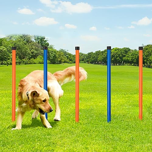 Miniatura 5 de Equipo de entrenamiento de agilidad para perros, kit de inicio de entrenamiento de carrera de obstáculos para perros, juego para mascotas al aire