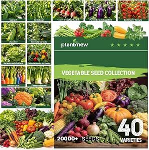 40 Vegetable & Herb Seeds Vault Kit with Sweet Basil, Cherry Tomato, Romaine Lettuce, 20,000+ Garden Seeds for Indoor and Outdoor Planting