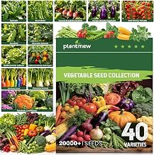 Vegetable Heirloom Seeds Vault Kit | 40 Varieties | 20,000+ High Yield Garden Seeds | Sweet Basil, Cherry Tomato, Romaine Lettuce & More | 2026 Season | for Indoor & Outdoor Home Planting