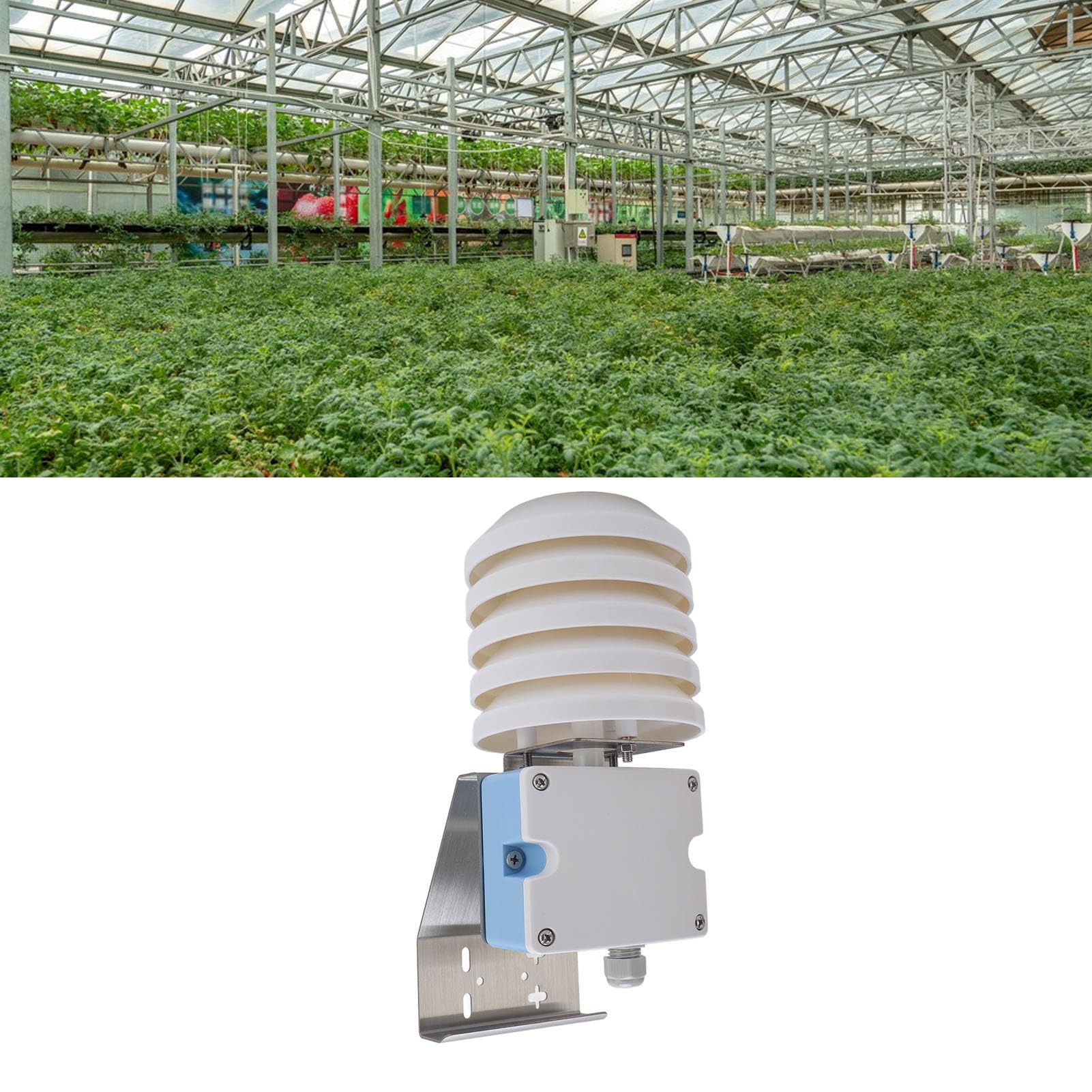 Bewinner Sensore di umidità della Temperatura con Scatola a Feritoia IP65, Trasmettitore di umidità della Temperatura Esterna con Ampio Intervallo 0-100% RH, -20-60 ℃, Uscita Digitale Ad Alta
