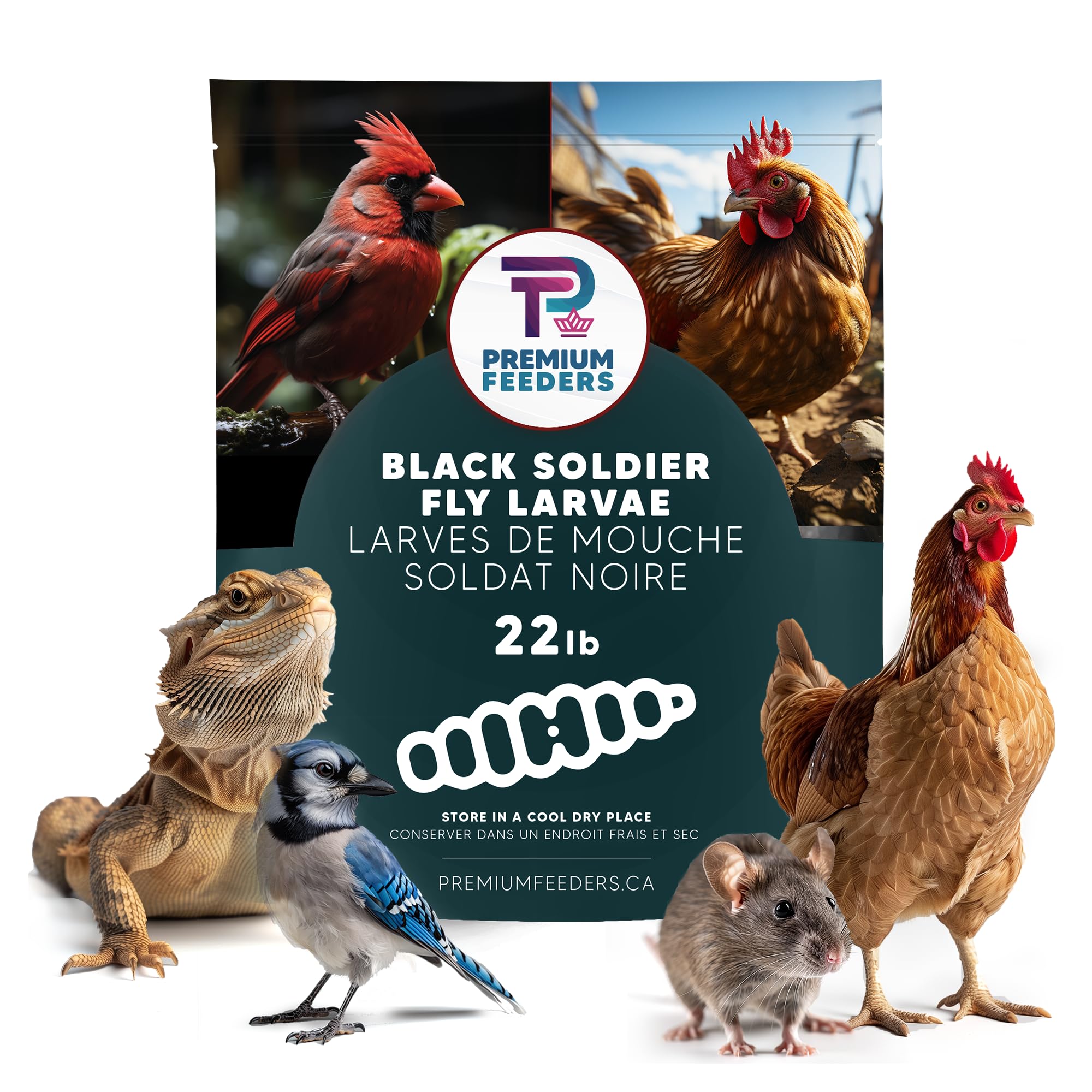 22lb - Dried Black Soldier Fly Larvae by Premium Feeders – Dried mealworms Alternative – Treats for Chicken, Hens, Duck, Bird, Lizard, Tortoise, Fish – High Calcium & Protein – All Natural BSF - 4