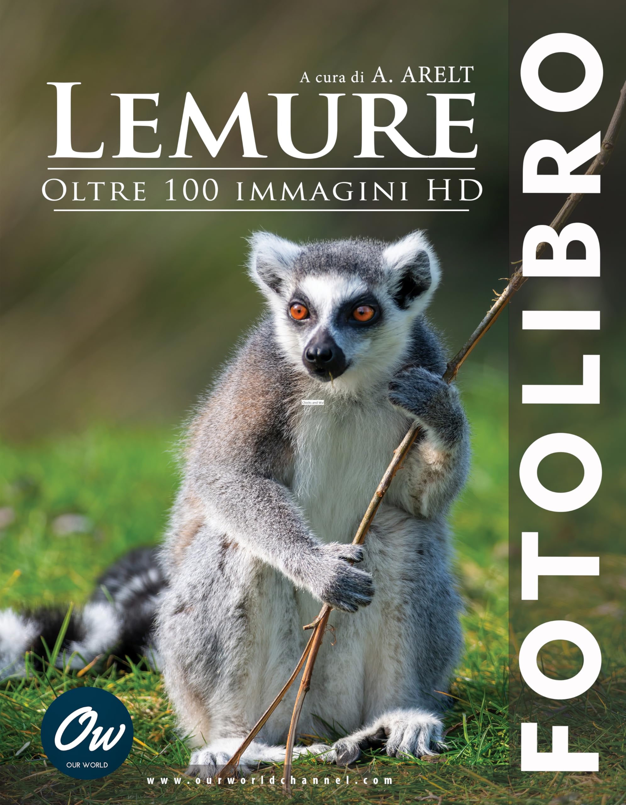 Lemure fotolibro édition italienne avec reliure et impressions d'art
