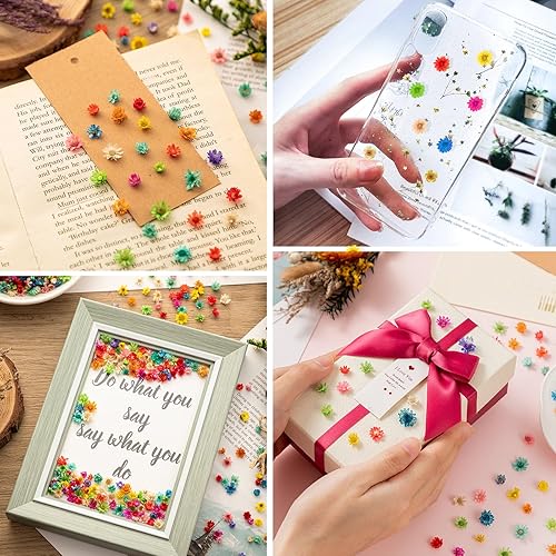 Vista 12 de 710 flores secas para manualidades de resina, pequeñas flores secas para uñas, flores secas prensadas pequeñas naturales reales para joyas, aretes