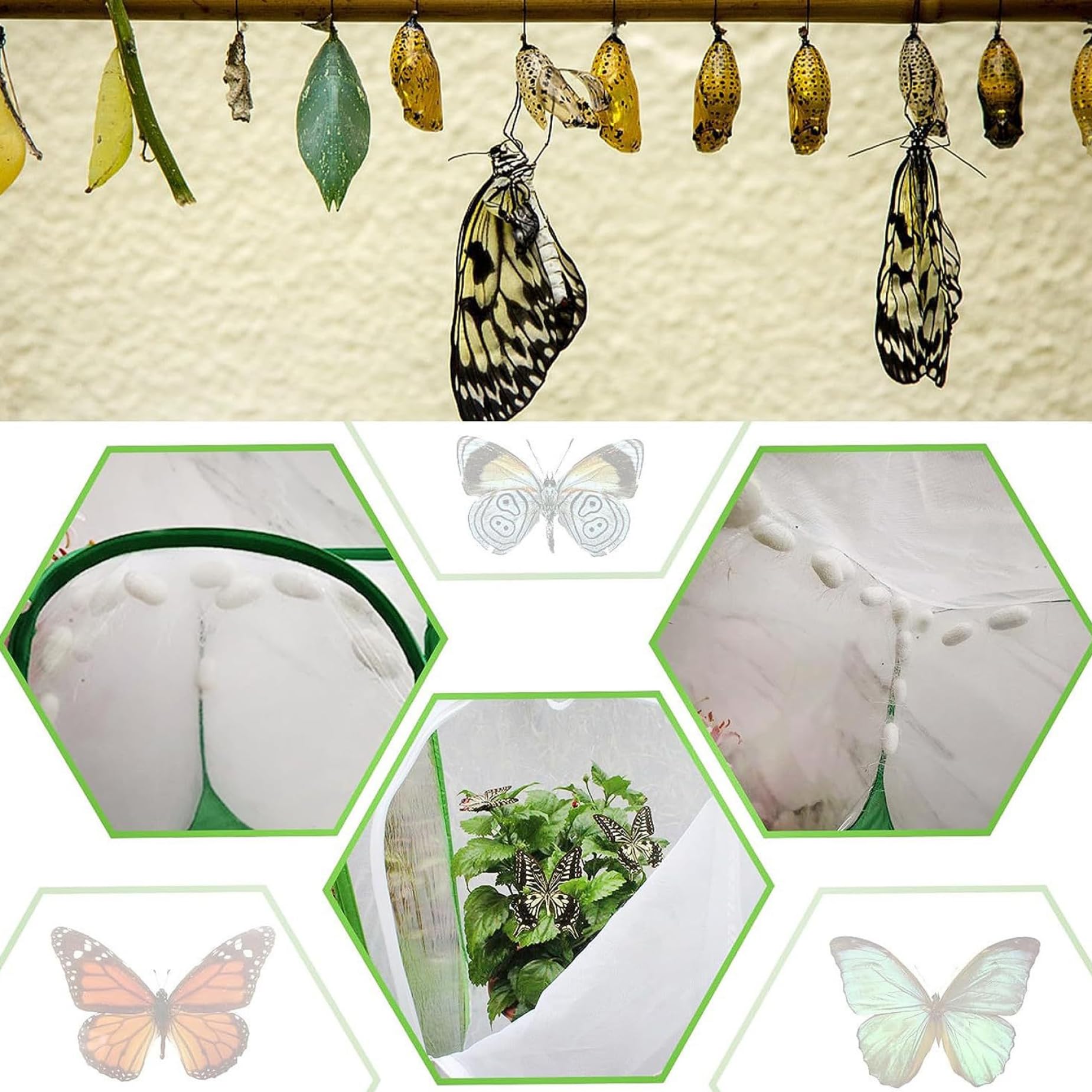 Gabbia per Farfalle con Cerniera, Recinzione a Rete Ultra fine, Habitat Pop-up per Piante