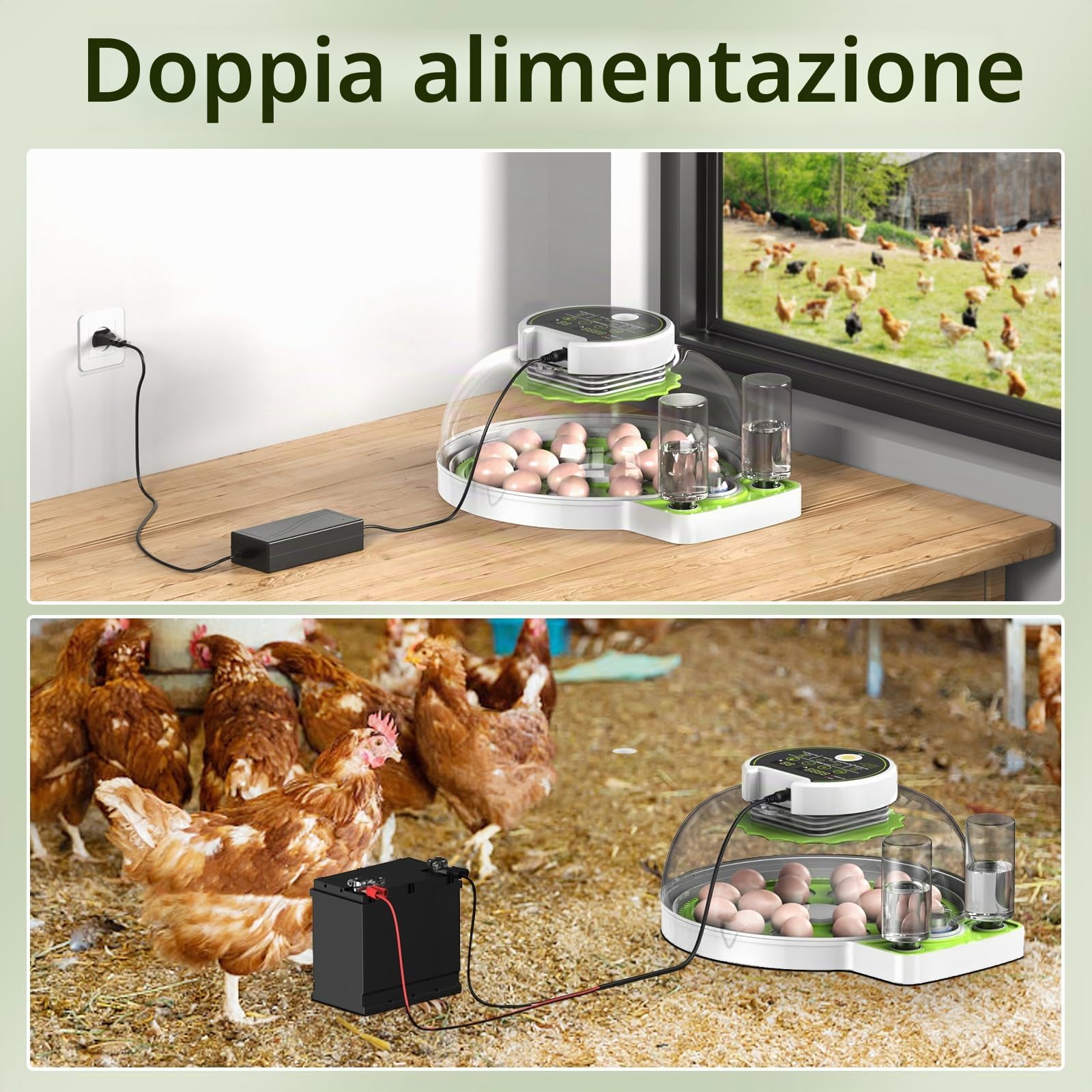 Incubatrice automatica completa, incubatrice per 16-60 uova per polli con rotazione automatica
