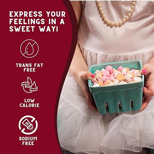 Miniatura 5 de Paquete de dulces de corazones de conversación Incluye dos bolsas de 7 onzas de caramelos de corazones de conversación de Brachs Friends y un imán