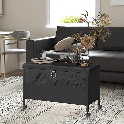 Miniatura 6 de Wonder Comfort Banco de almacenamiento elevador otomano para dormitorio con marco de acero y ruedas, para entrada, sala de estar, vestíbulo,