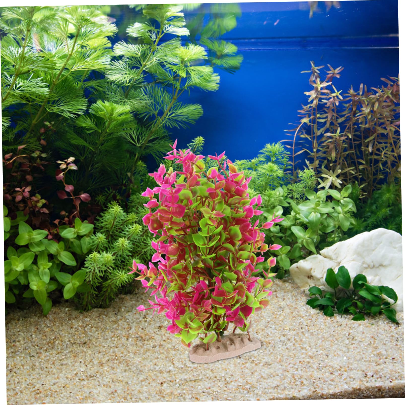 BESPORTBLE 5stücke Künstliche Wasserpflanzen Für Aquarien Stabile Kunststoff-Dekoration Sicher Für Fische Langlebig Und Farbecht Landschaftsgestaltung Für Ihr Fischbecken