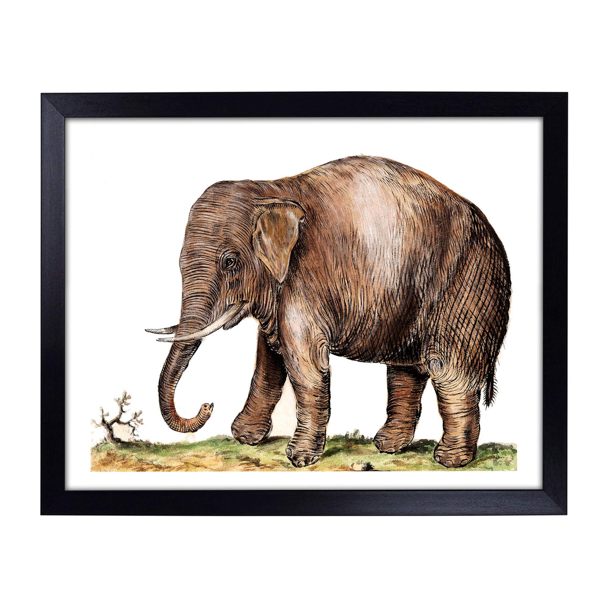 Big Box Art Lap Tray with Cushion | Asian Elephant by A.B. de Boodt | Padded Bean Bag Cushion | For Eating, Working, Crafting, Laptop | Portable Table Desk