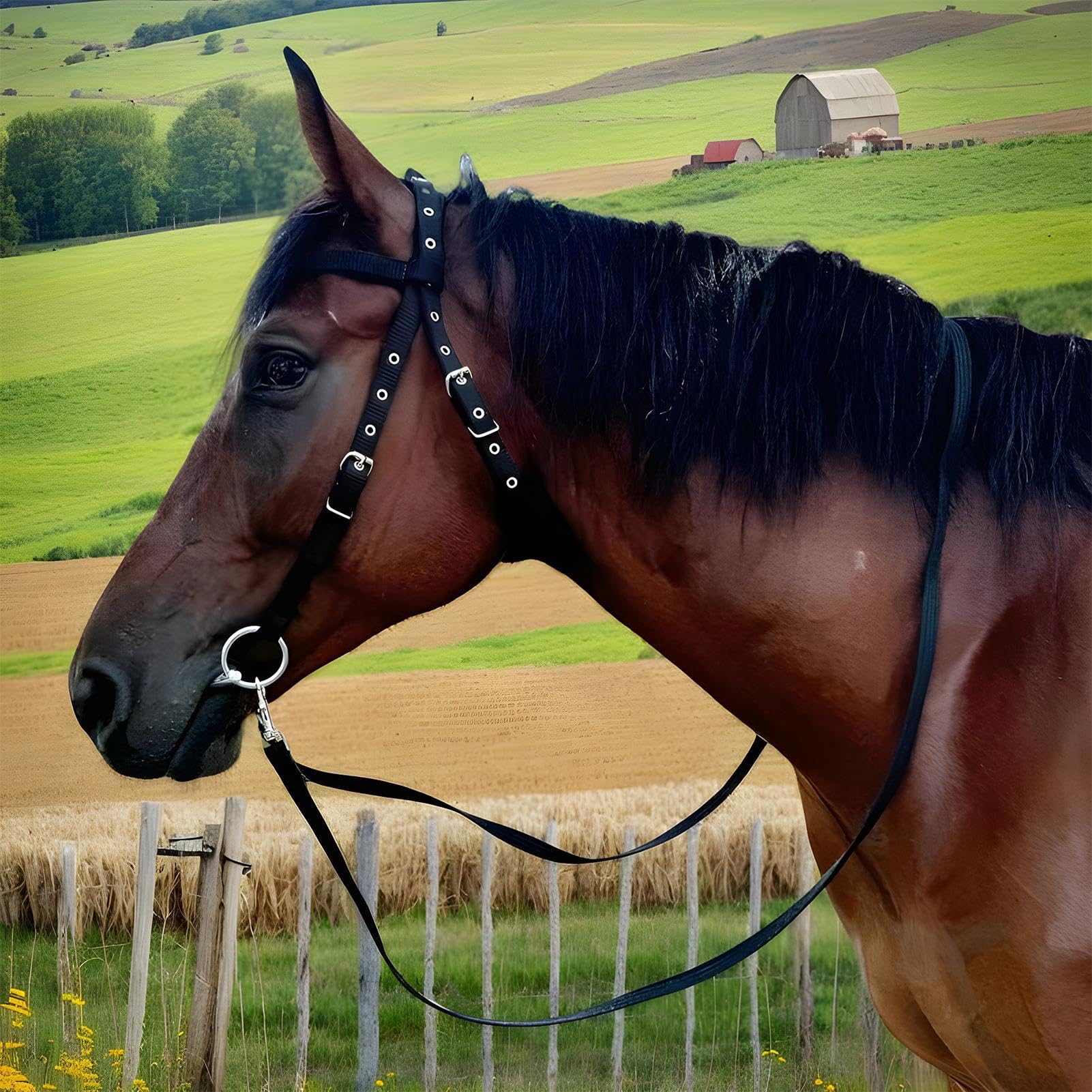 Durable Horse uchwyt do treningu, uchwyt na linkę i linkę prowadzącą, zestaw uchwytów do pielęgnacji konia, wzmocniony uchwyt na linę, stylowy zestaw dla miłośników koni
