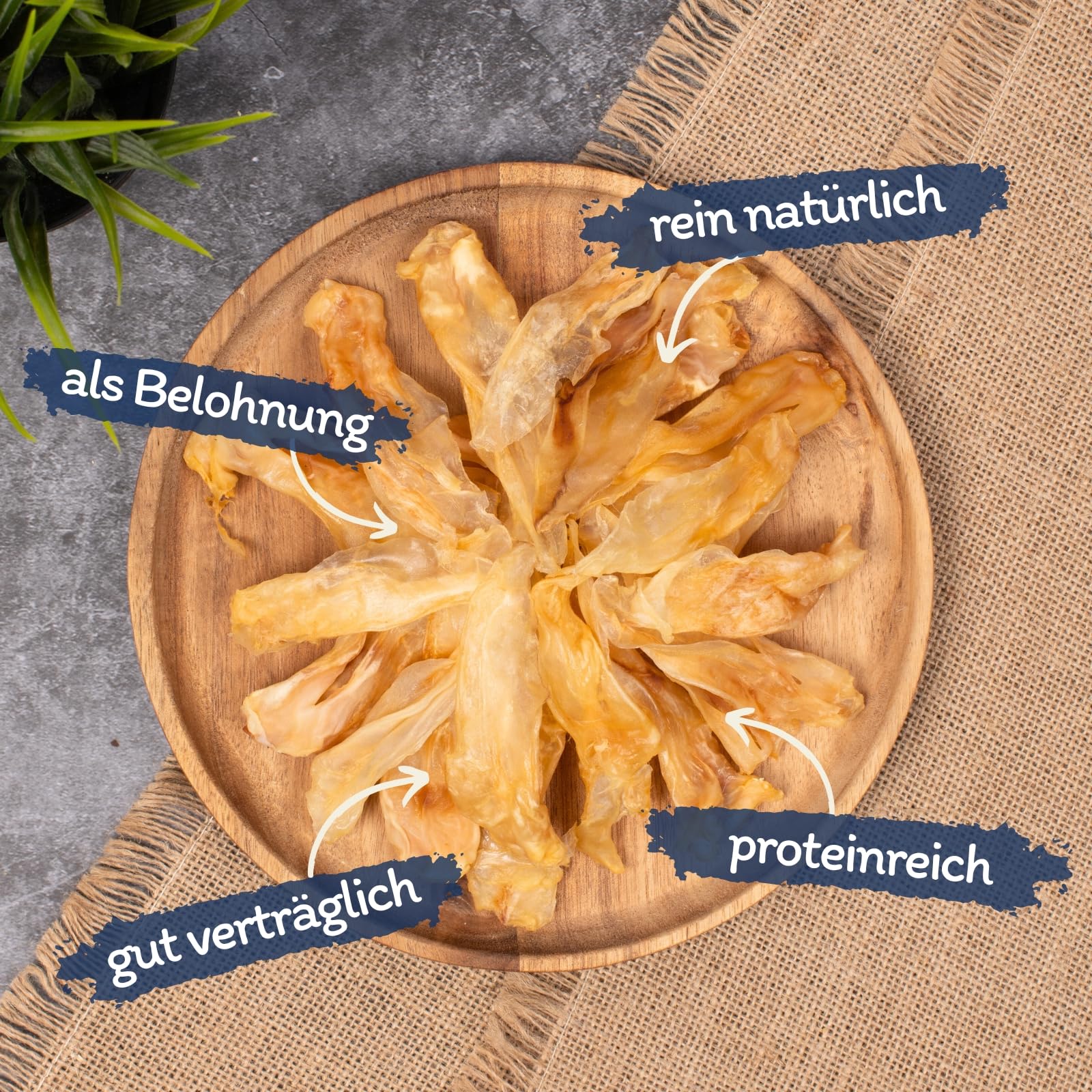 Lyra Pet® 5 kg Kaninchenohren getrocknet - Kausnack für Hunde
