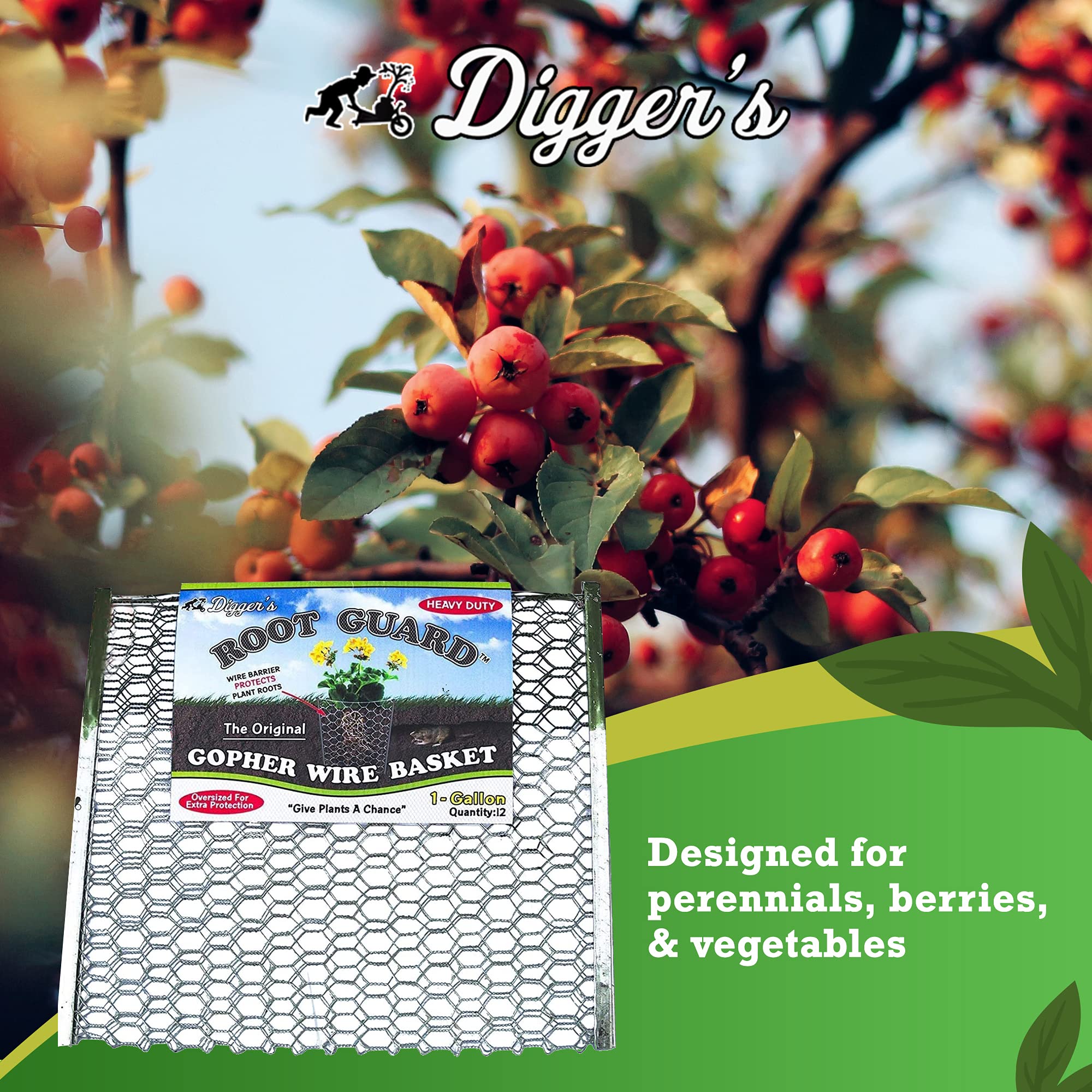 Digger’s 1Gallon HeavyDuty Wire Basket Gopher Wire Basket for