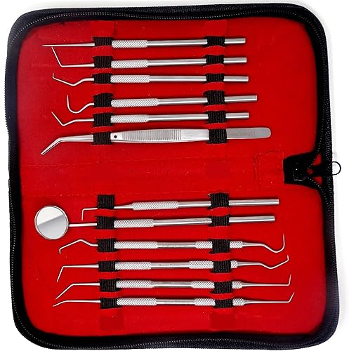 Juego de 12 herramientas de dentista, kit de 12 piezas profesional removedor de cálculo y placa, juego de higiene dental hecho de acero inoxidable Juego de 12 herramientas de dentista, kit de 12 piezas profesional removedor de cálculo y placa, juego de higiene dental hecho de acero inoxidable