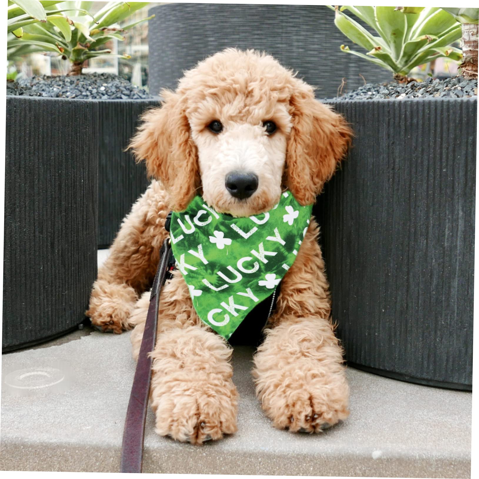 BESPORTBLE 12piezas Bufanda Creativa para Mascotas Bandana Ligera y Duradera para Perros y Gatos Accesorio para Fiestas Bodas y Uso Diario Diseño Divertido y Moderno para Fotografía y