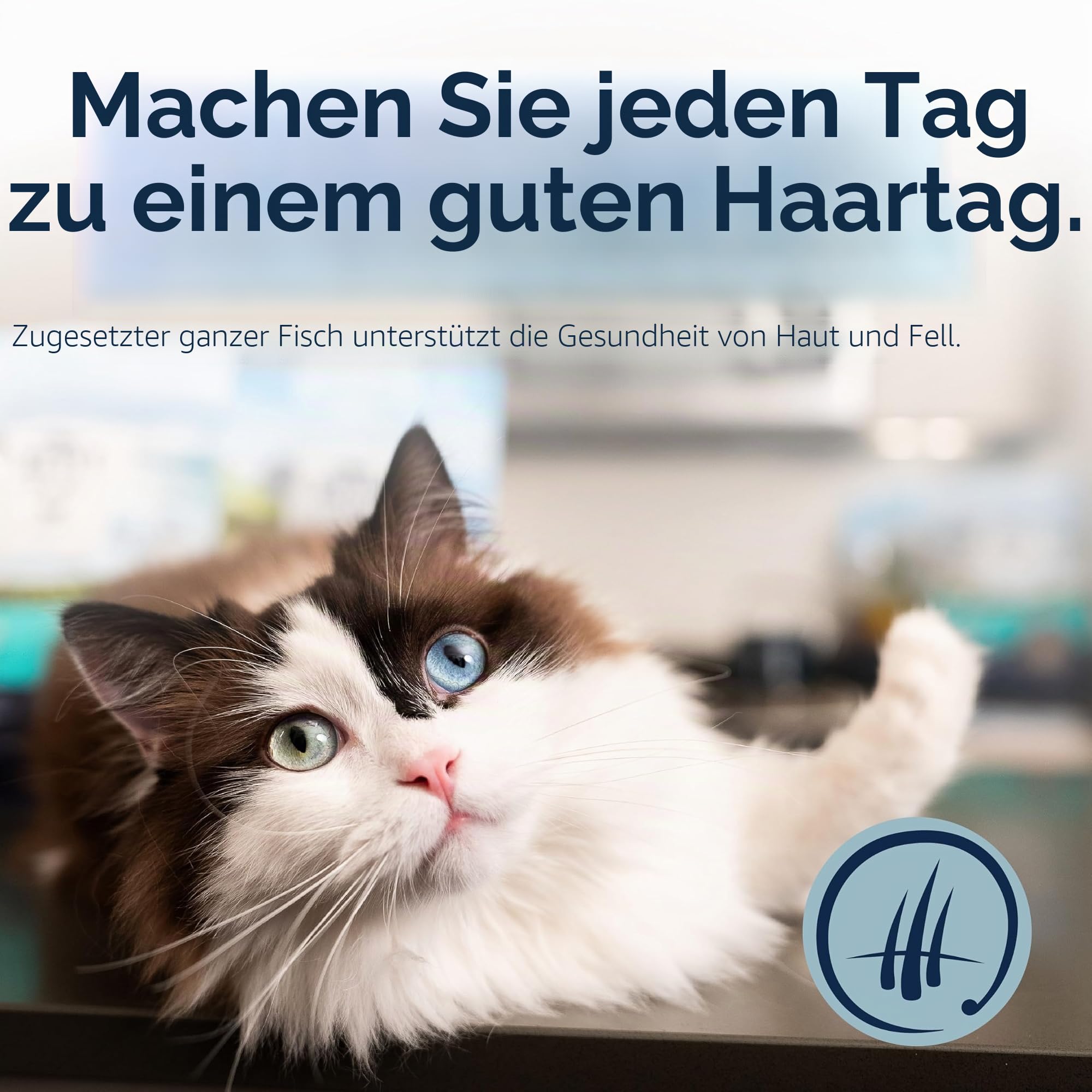 ZIWI Peak Steam & Getrocknetes Käfigfreies Huhn mit ganzer Makrele, 2,2 kg – Natürliches, proteinreiches Katzenfutter trocken, Rohe Alternative & getreidefreies komplettes Trockenfutter für Katzen