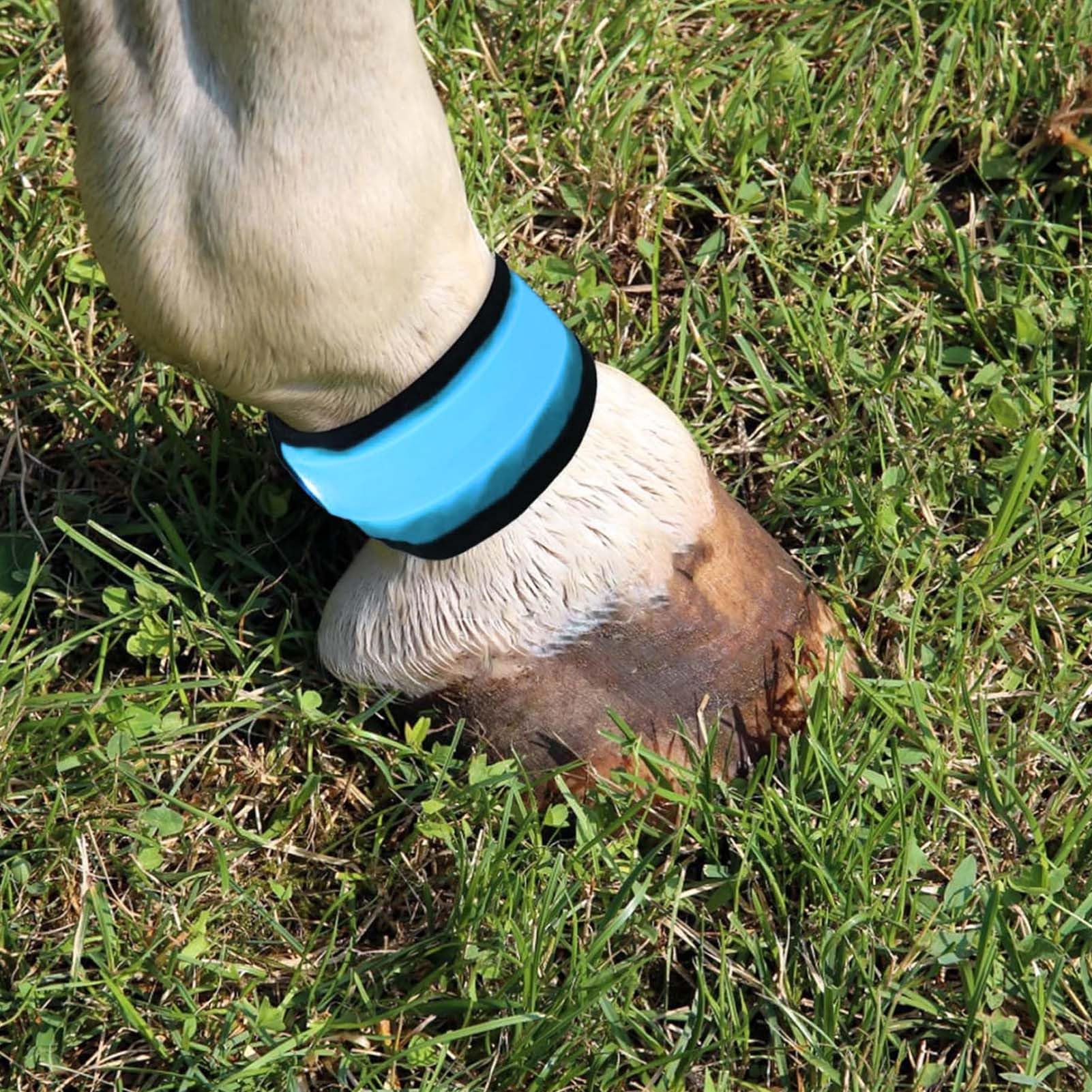 Generisch Pferdebeinbänder - 4 Stück Zubehör Für Tiere Mit Hoher Sichtbarkeit | LED Beleuchtung Pferdeknöchelriemen,Für Das Reiten Bei Nacht, Paraden, Farmen, Ranches, Ställe, Zirkus Und