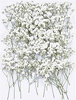 Xinxinran 50Pcs White Baby's Breath Pressed Dried Flowers for Crafts, Wedding Invites, Jewelry, Candles, Soap Making & More