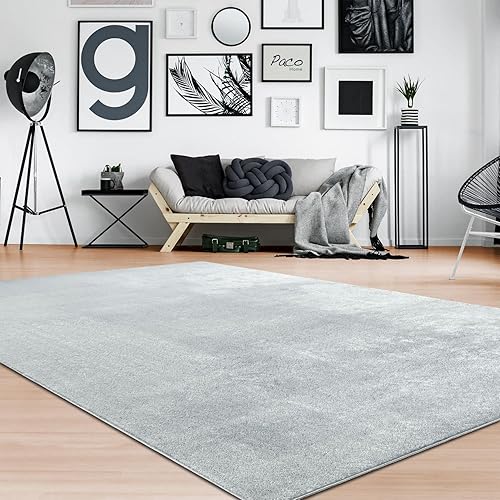 Paco Home Alfombra de área suave en color gris acogedor color sólido antideslizante y lavable, tamaño 4'7" x 6'7"