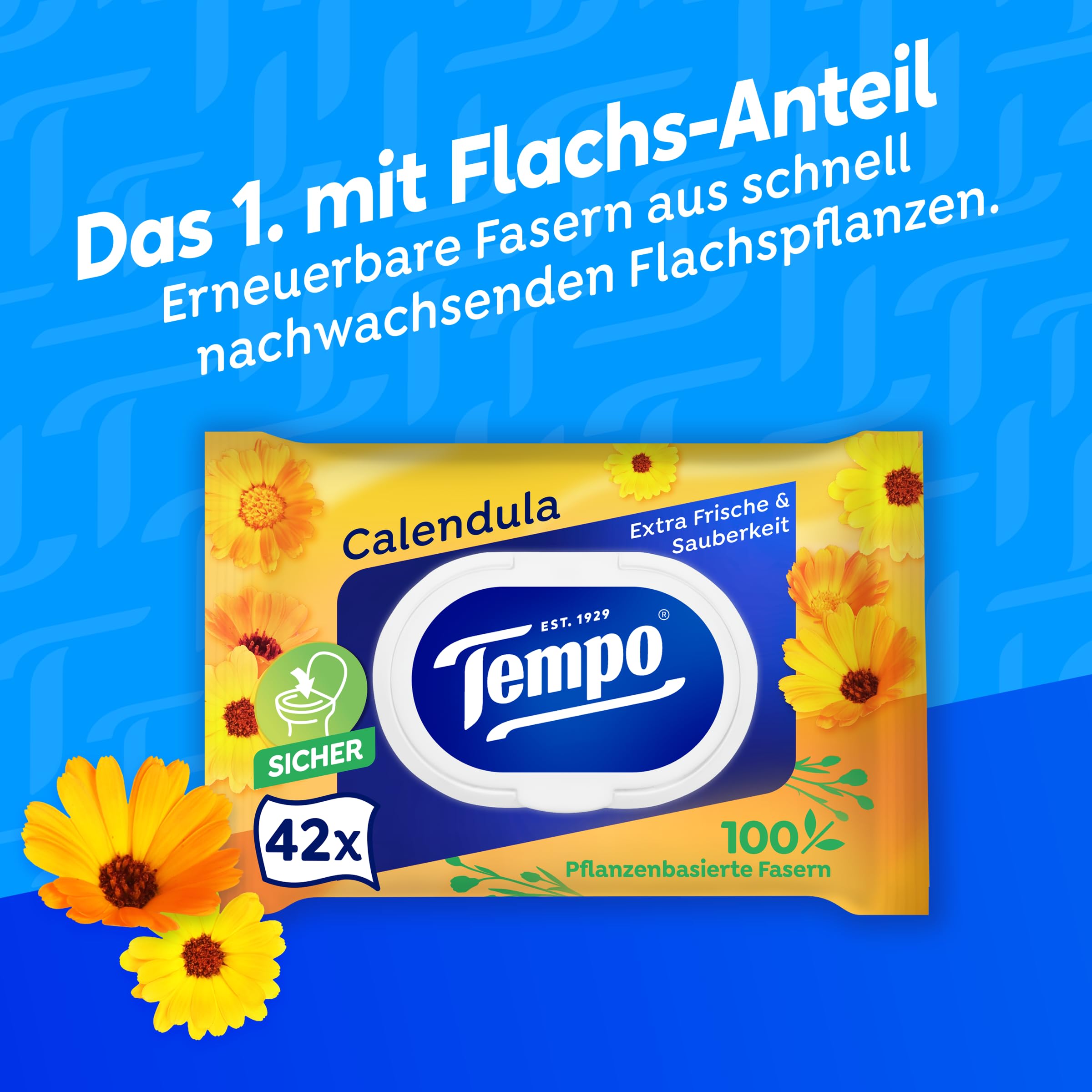 Tempo Toilettenpapier feucht, Mein Verwöhnmoment, 8 x 2 x 42 Tücher