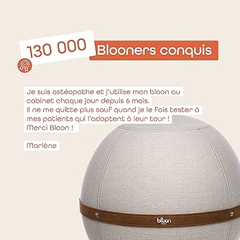 Amazon.com: Bloon Paris Bloon Desk Ball Chair 25.5in | Back