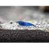 Product Photo 4