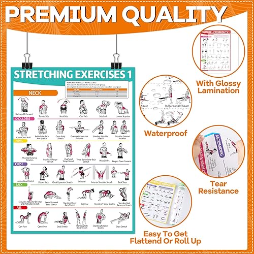 Miniatura 3 de gisgfim 8 pósteres de entrenamiento para mancuernas de gimnasio en casa, peso corporal, estiramiento, tabla de ejercicios de pesas rusas de cuerpo