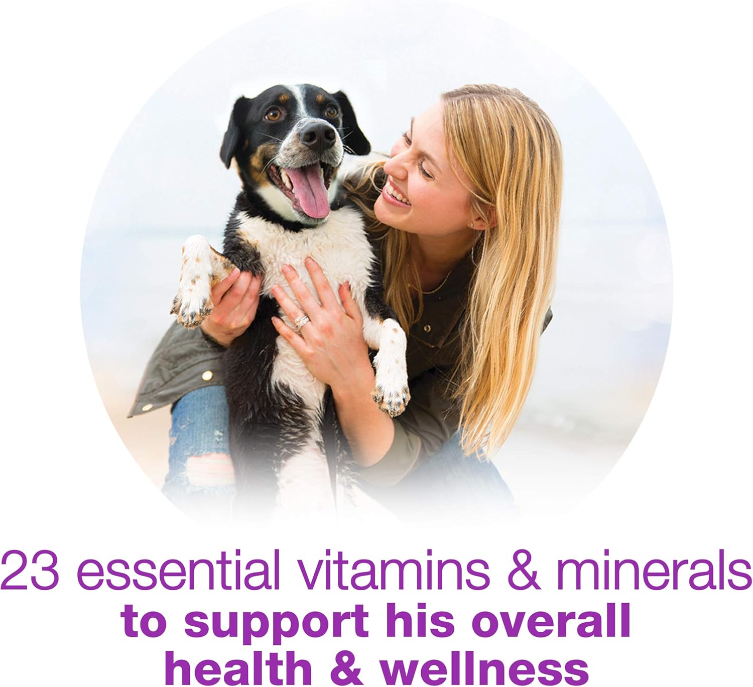 Beneful Purina Wet Dog Food, Chopped Blends with Lamb - (8) 10 oz. Tubs (Pack of 2)