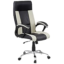 Amazon Brand – Solimo Brasov High Back Executive Chair (Black & Grey)