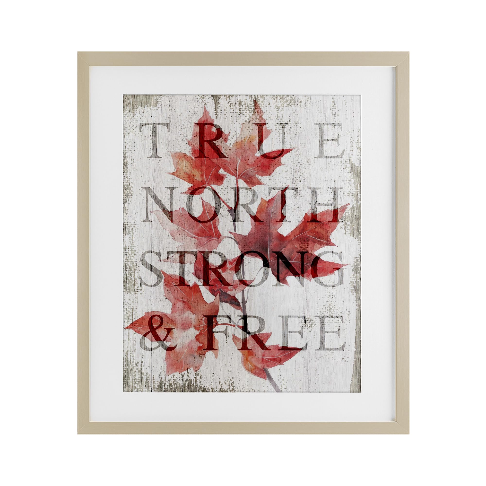Affiche encadrée 53x43 Stupell Industries True North Strong & Free Birch sous verre